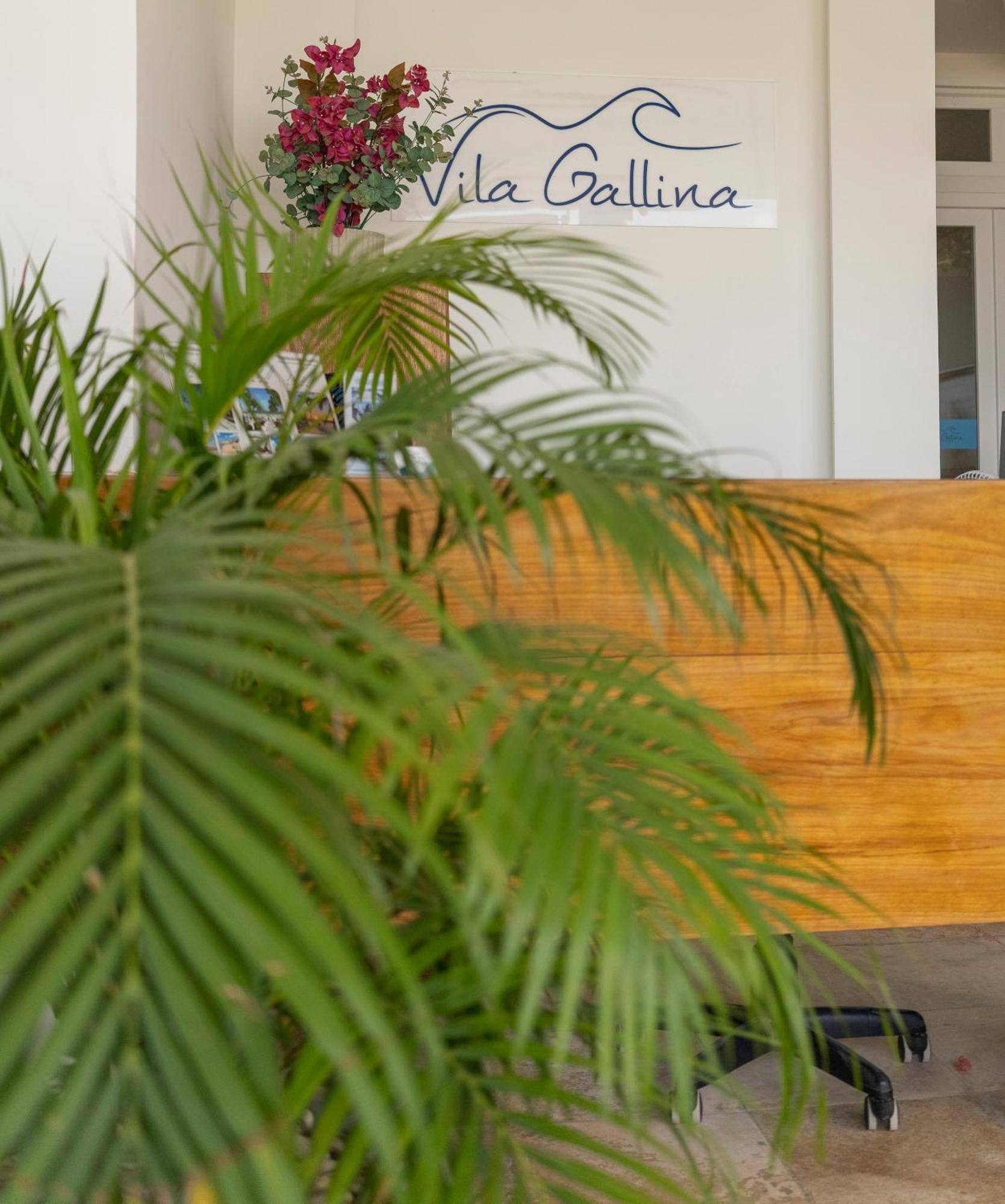 Vila Gallina Pousada Jijoca de Jericoacoara Bagian luar foto